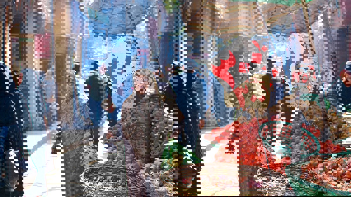 بالفيديو.. مصري مسجل في 144 بطاقة تموينية ويحصل على الدعم بطريقة غير شرعية