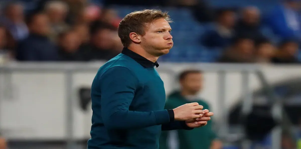 مدرب هوفنهايم قد يتعرض لعقوبة لضربه أحد المشجعين (فيديو)