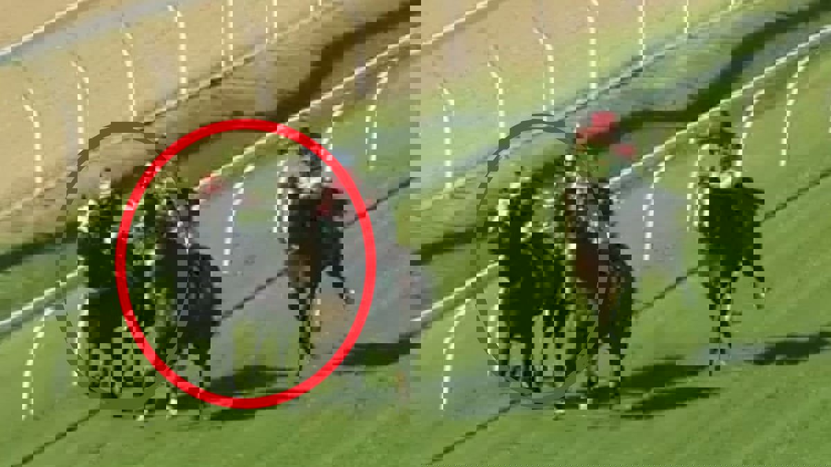 فوز فارسة بسباق خيول رغم ضرب حصان منافس بالسوط على أنفه (فيديو)