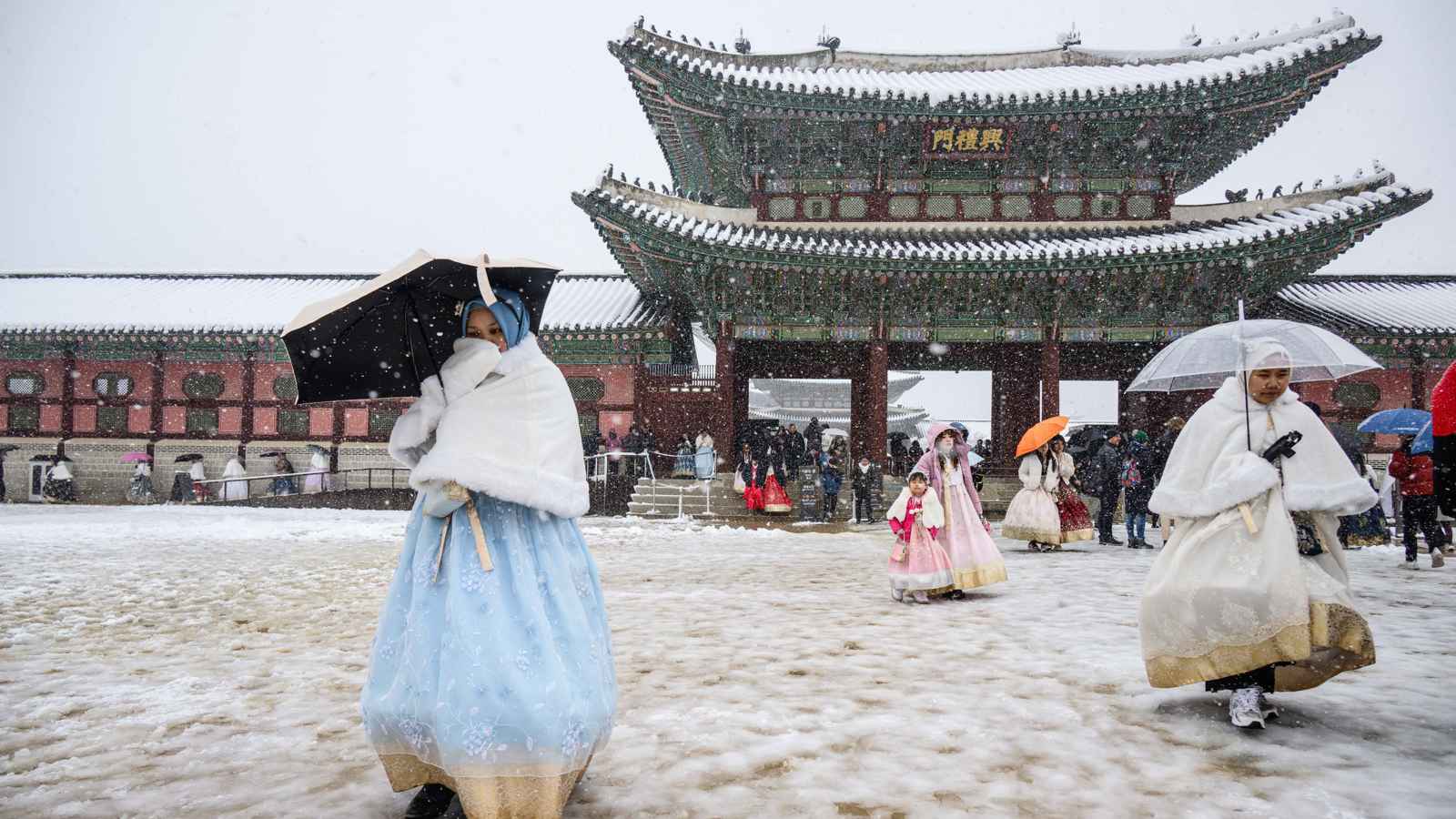 عاصفة ثلجية عنيفة تضرب كوريا الجنوبية (فيديو وصور)
