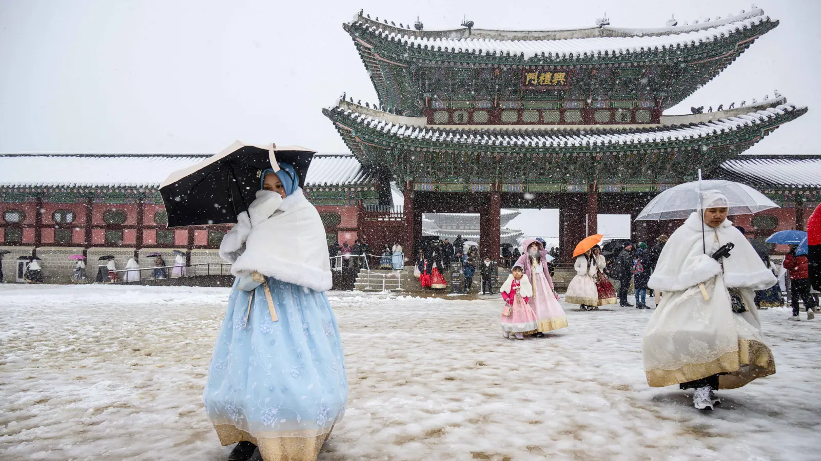 عاصفة ثلجية عنيفة تضرب كوريا الجنوبية (فيديو وصور)
