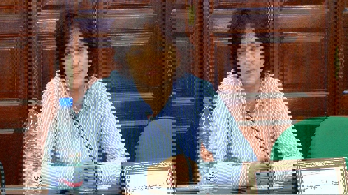 برلمانية تونسية لـ"إرم نيوز": الشاهد يستغل إمكانات الدولة خدمة لطموحه السياسي