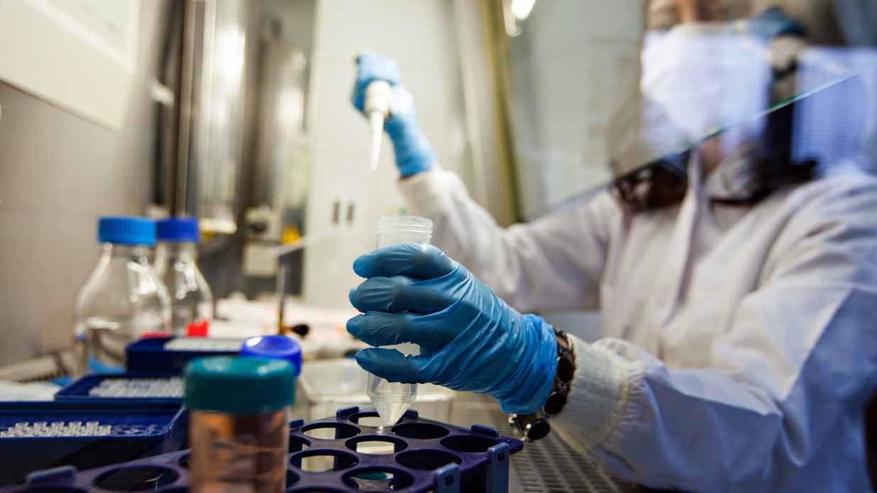 ابتكار علاجي بين البكتيريا والفيروسات لهزيمة السرطان