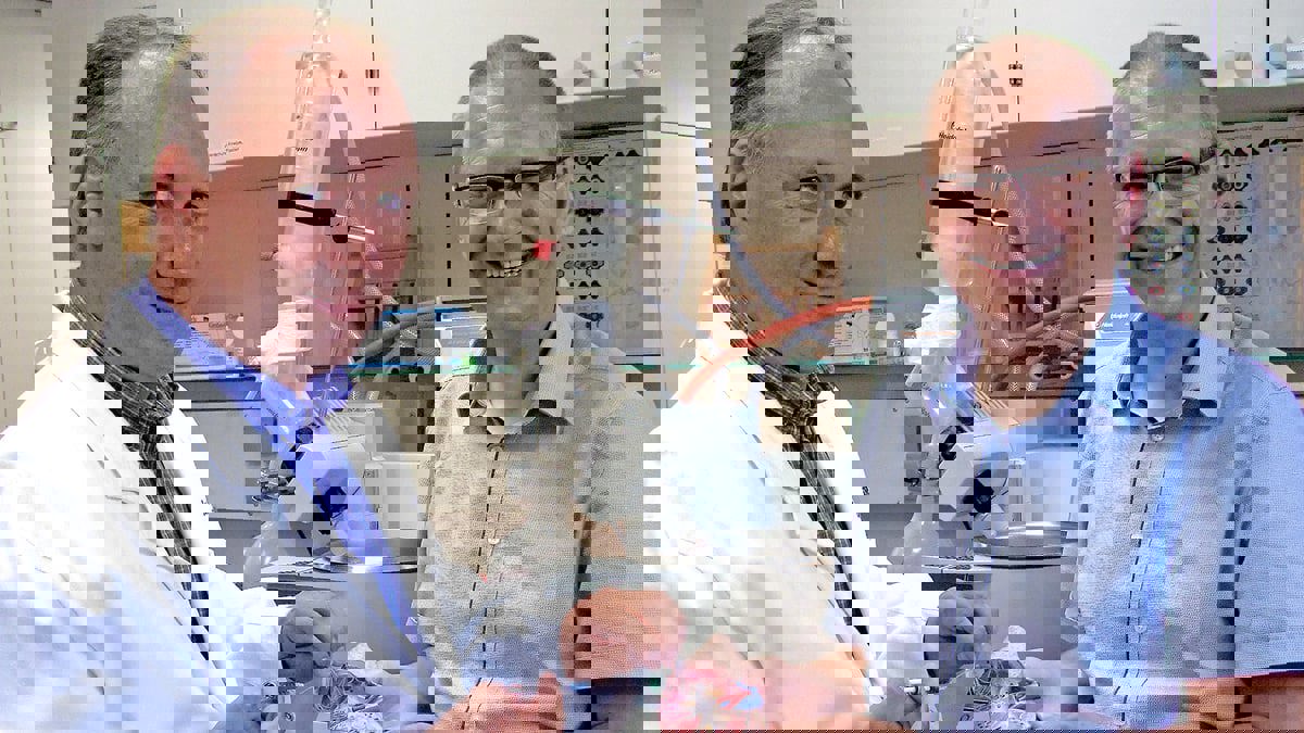 "هيدروجيل" يمتص فتات الحصى من الكلى التي تفشل الأدوات الطبية في إزالتها