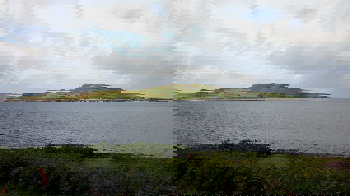 منها جزيرة الأفاعي.. جزر محظور على البشر دخولها