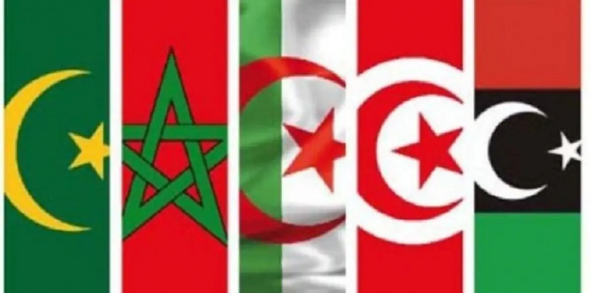 إجماع مغاربي على رفض التدخل العسكري بليبيا