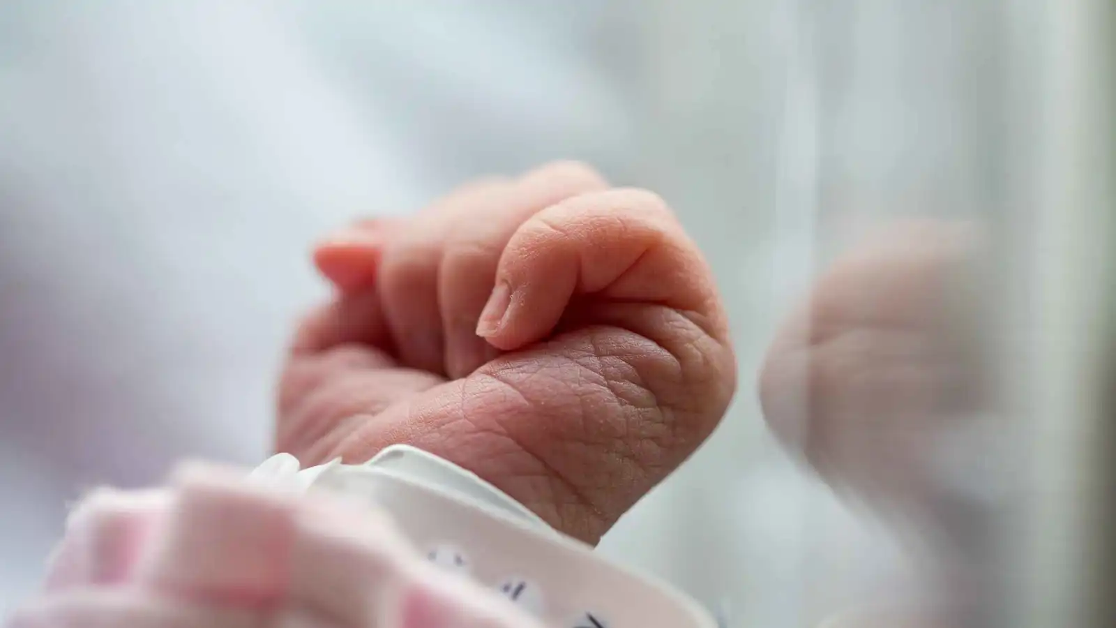 "حمل فاشل" يدفع امرأة لاختطاف رضيع من مستشفى بالقاهرة