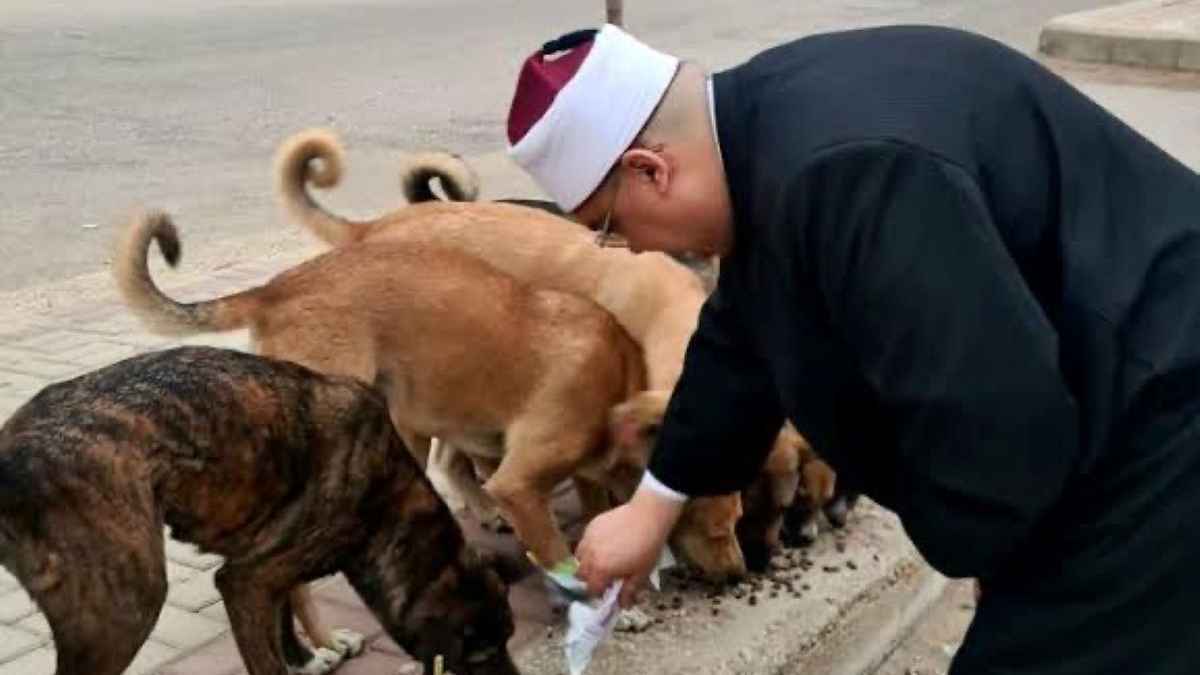شيخ يتصدر الترند في مصر بعد فيديو إطعام الكلاب (فيديو)