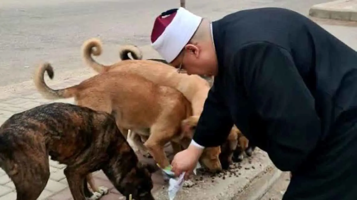 شيخ يتصدر الترند في مصر بعد فيديو إطعام الكلاب (فيديو)
