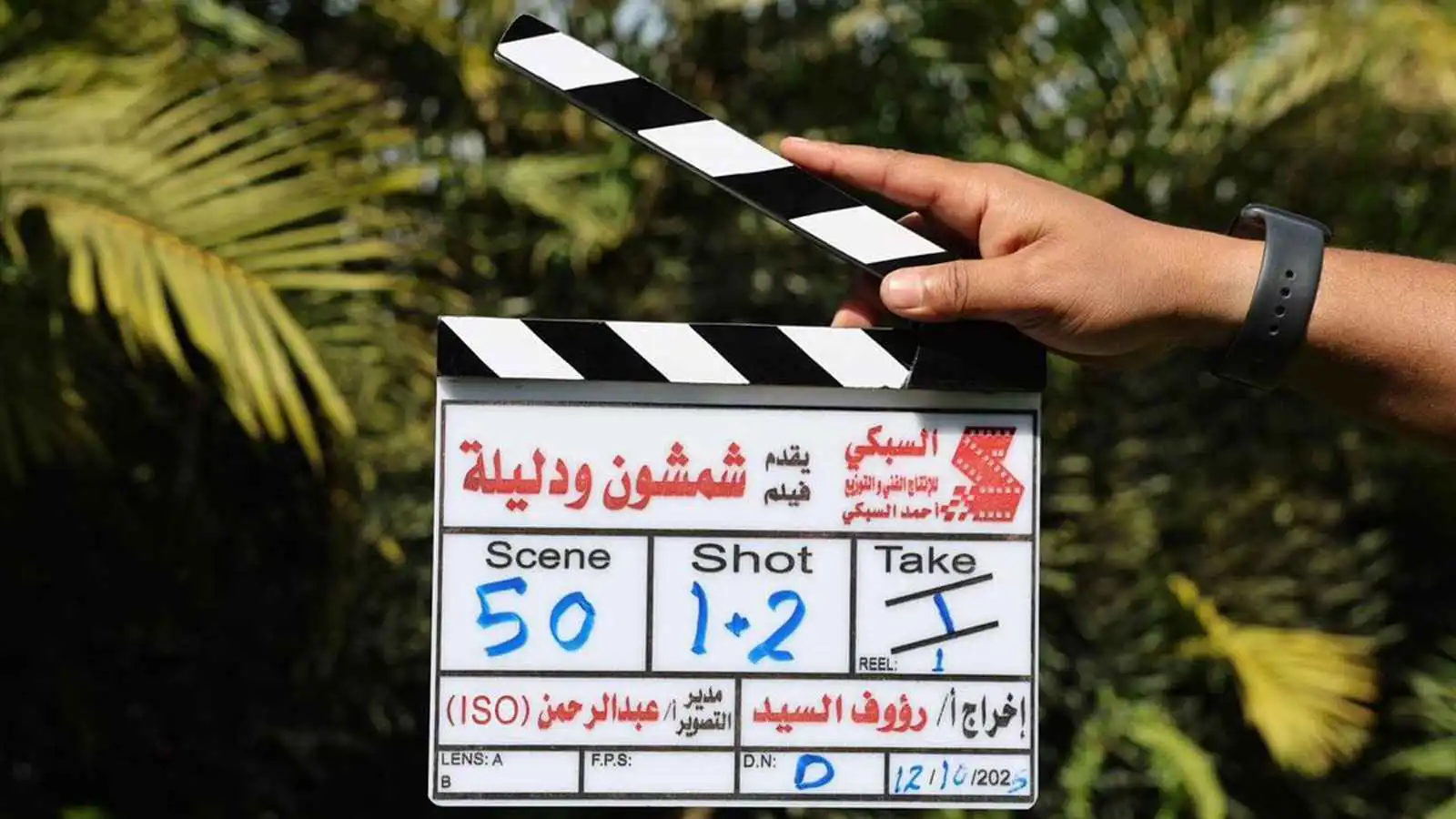 مصر.. إيقاف تصوير "شمشون ودليلة" قبل أسبوع من استكماله