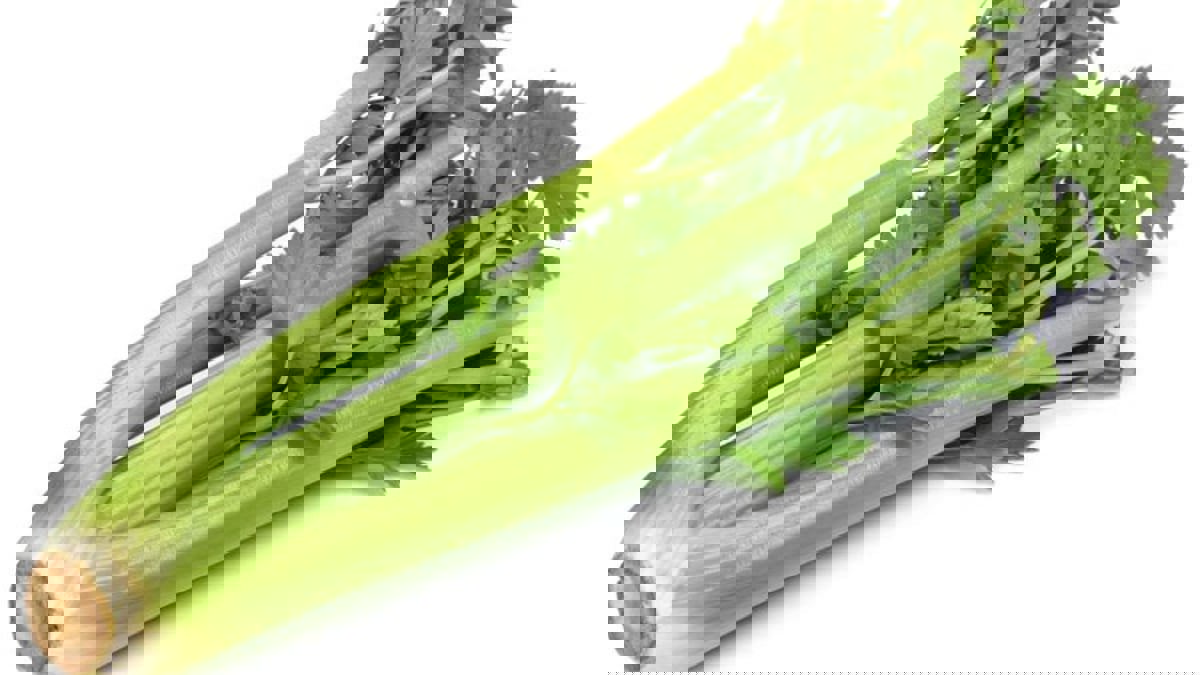 من بذور الكرفس.. عقار جديد يعزز الشفاء من السكتات الدماغية
