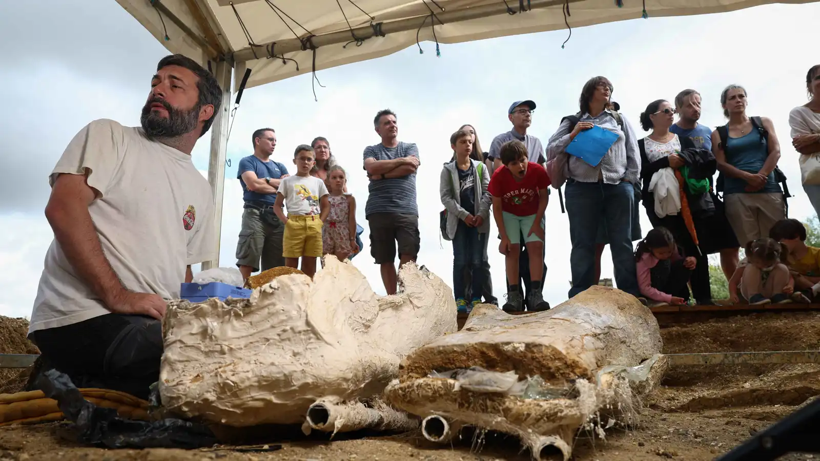 اكتشاف ديناصور عاش في المغرب قبل 165 مليون سنة