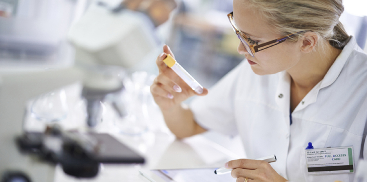 من جميع الجنسيات والأصول.. غوغل تطلب 10 آلاف متطوع لإجراء فحوص طبية