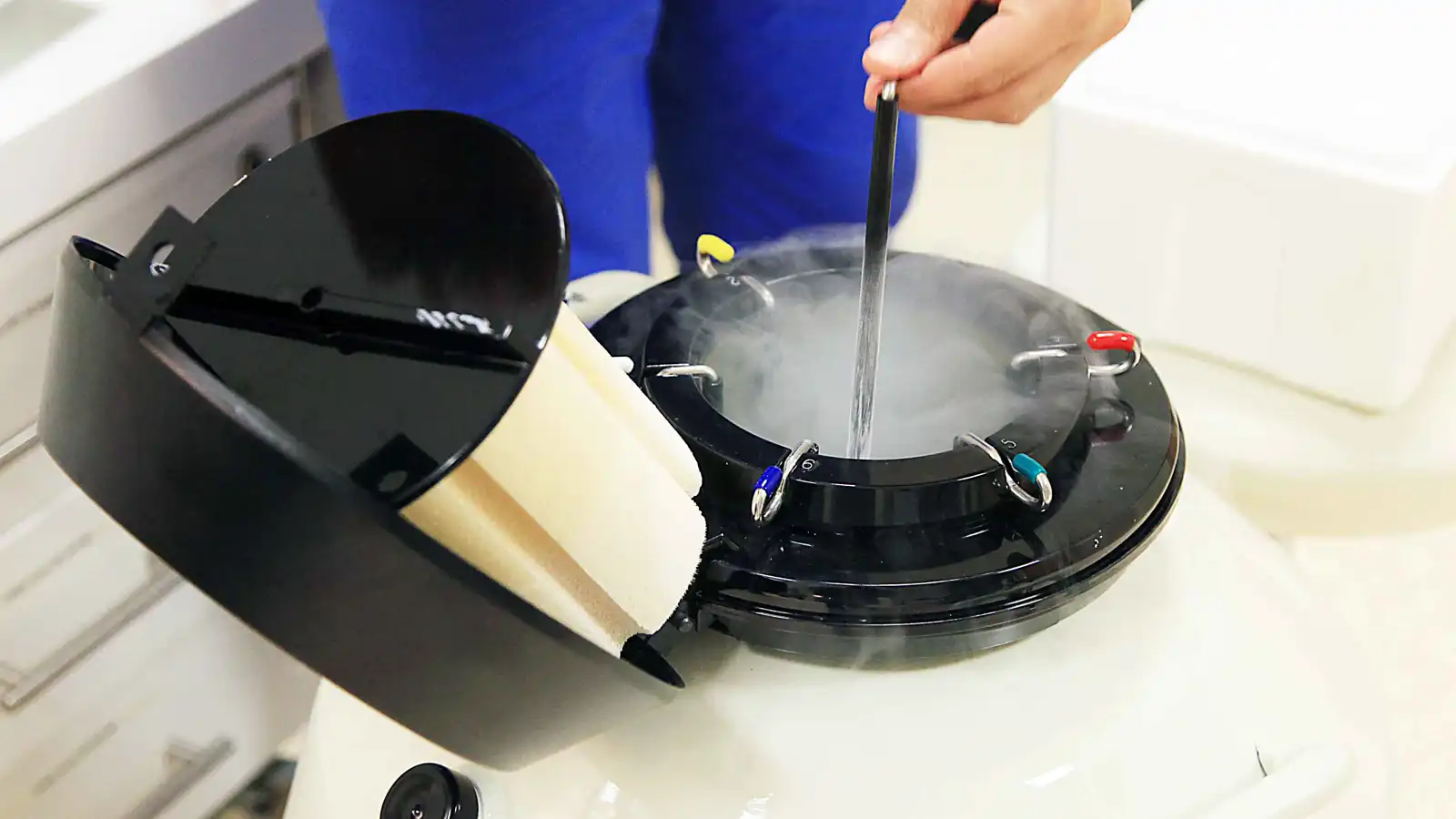 كيف يمكن لجنين مجمد أن يعيش لمدة 30 عامًا؟