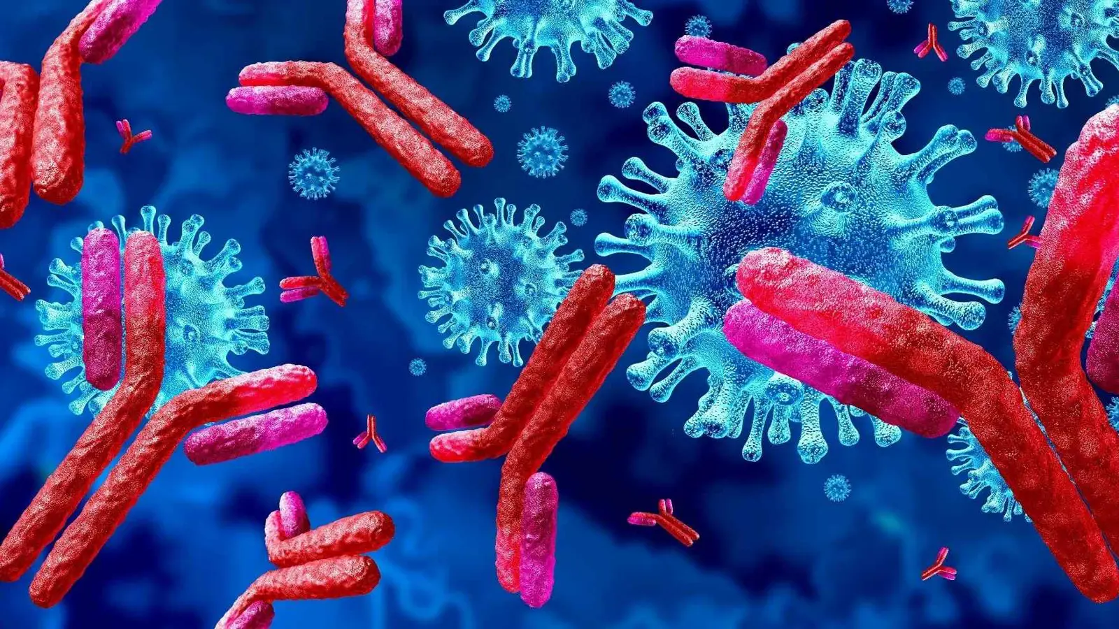 اكتشاف مذهل يغير طريقة فهمنا لآلية عمل جهاز المناعة