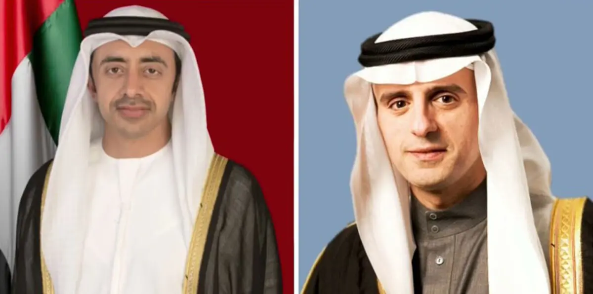 الإمارات والسعودية في قمة بباريس لتشكيل قوة غرب أفريقيا