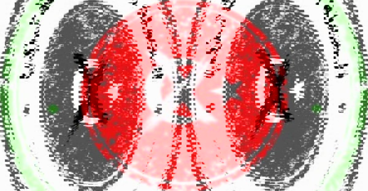 سياسية تركية: المقاطعة السعودية تتصاعد وحزب العدالة والتنمية صامت