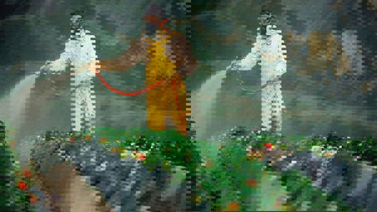 تطوير آلية تحدد بفعالية آثار المبيدات السامة في الخضروات