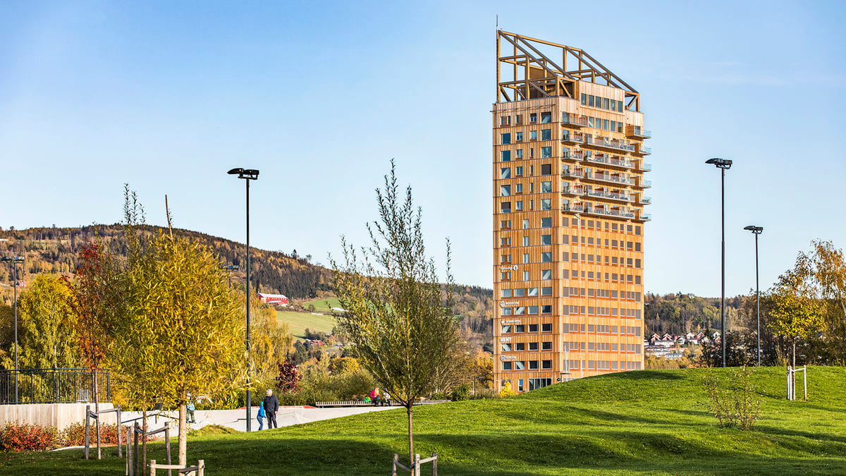 المدن الخشبية حل مستقبلي لانبعاثات الكربون