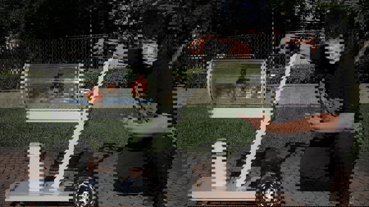 تايواني يخترع عربة متحركة لأسماكه من أجل "النزهات"