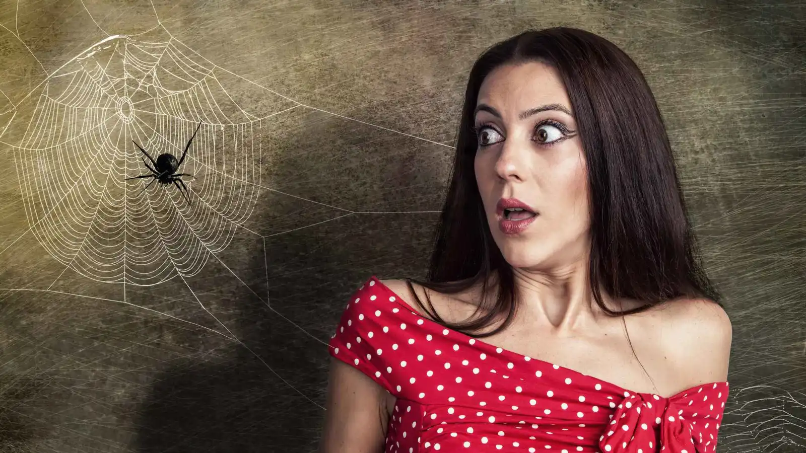 لغز "الخوف من العناكب".. لماذا نتجنب النظر إليها مباشرة؟