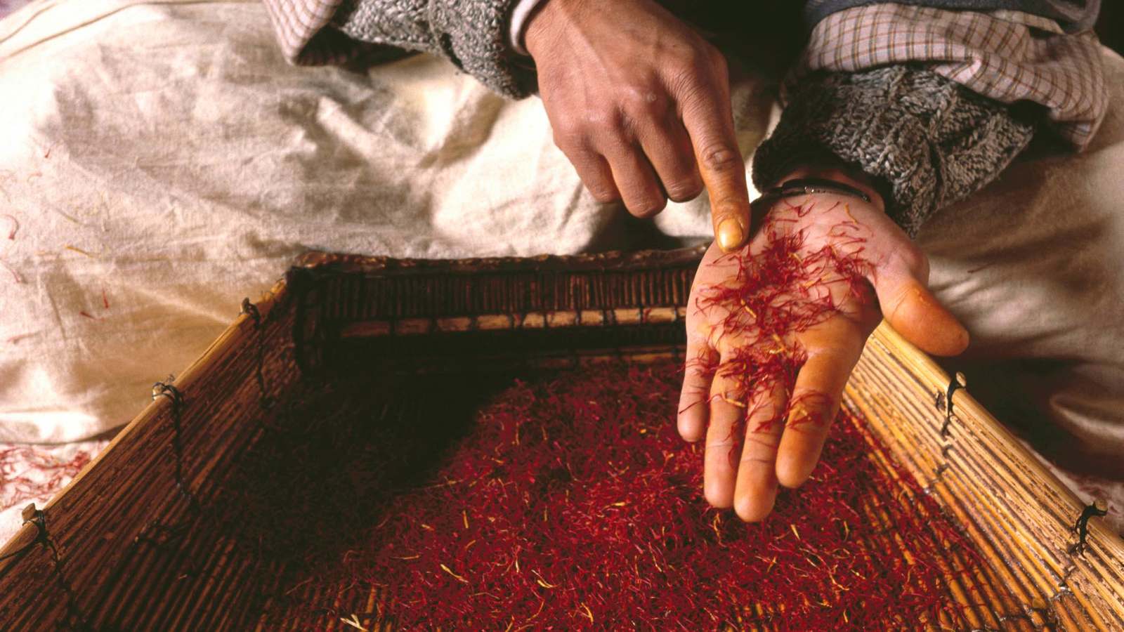 الذهب الأحمر.. السعودية تعتزم التحول لبلد منتج للزعفران