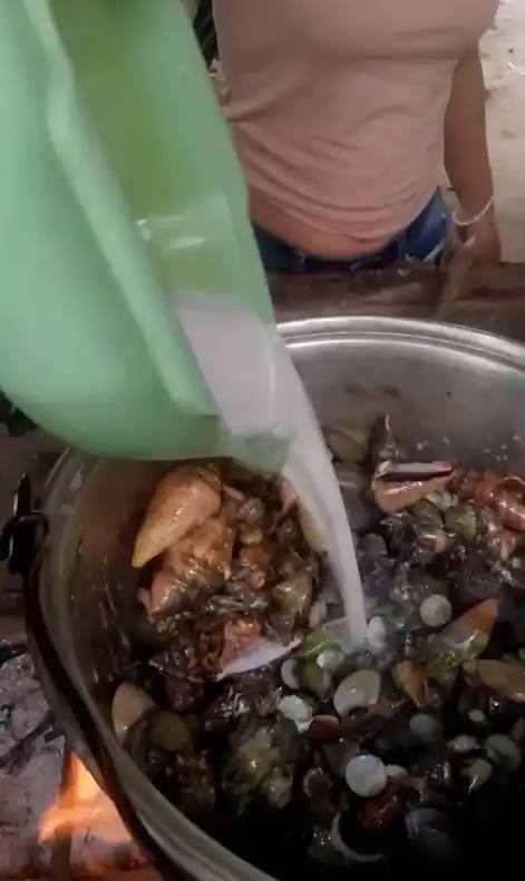 أصدقاء إيما يطهون السرطان السام