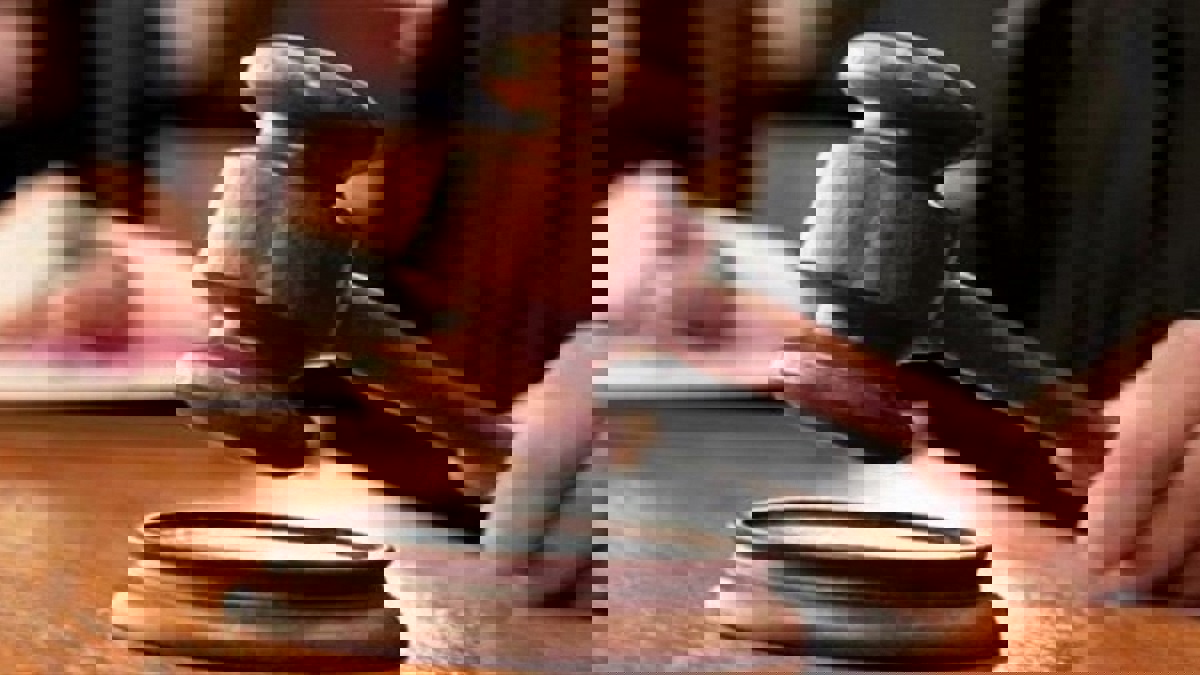 السجن 34 شهرًا لماليزي قتل قطة بآلة تجفيف الملابس