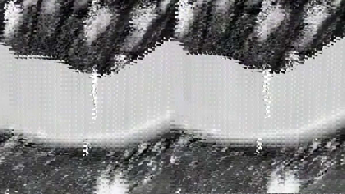 في مشهد مروع.. مهربون يلقون طفلتين من فوق الجدار الفاصل بين أمريكا والمكسيك