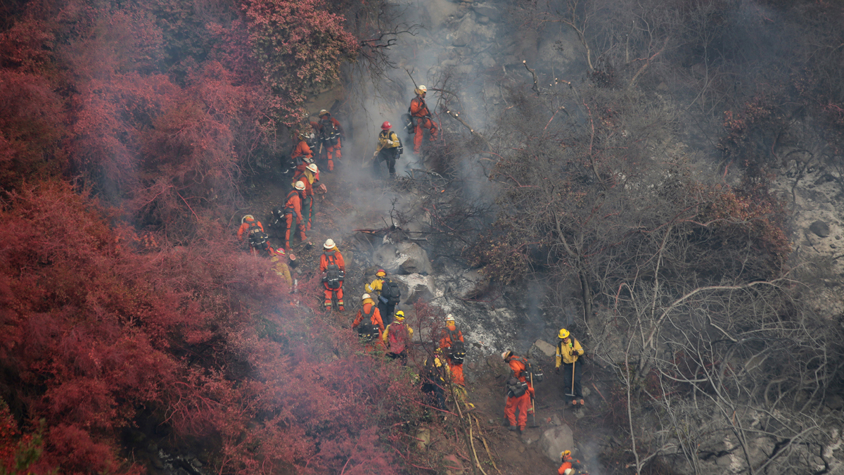 نحو 600 رجل إطفاء يكافحون حريقًا في كاليفورنيا