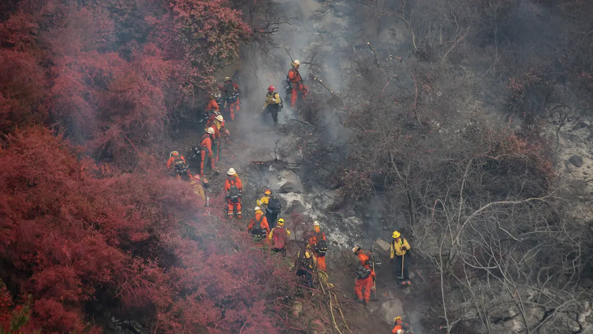 نحو 600 رجل إطفاء يكافحون حريقًا في كاليفورنيا