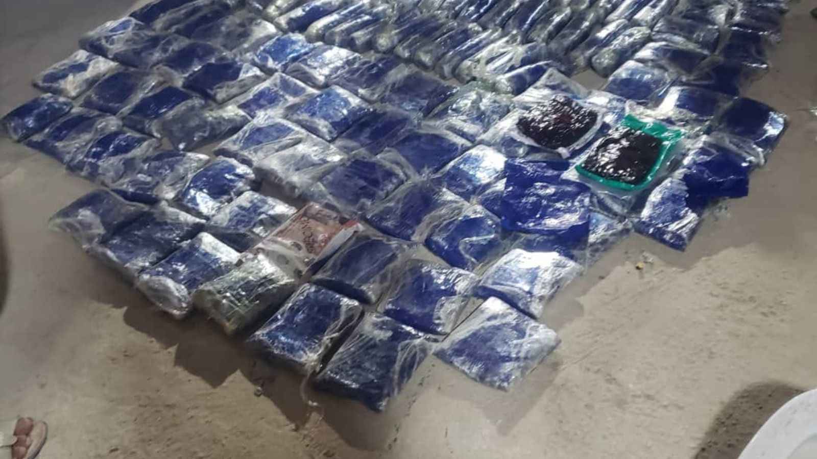 تُقدر بمليون دولار.. إحباط تهريب شحنة مخدرة في اليمن (فيديو)