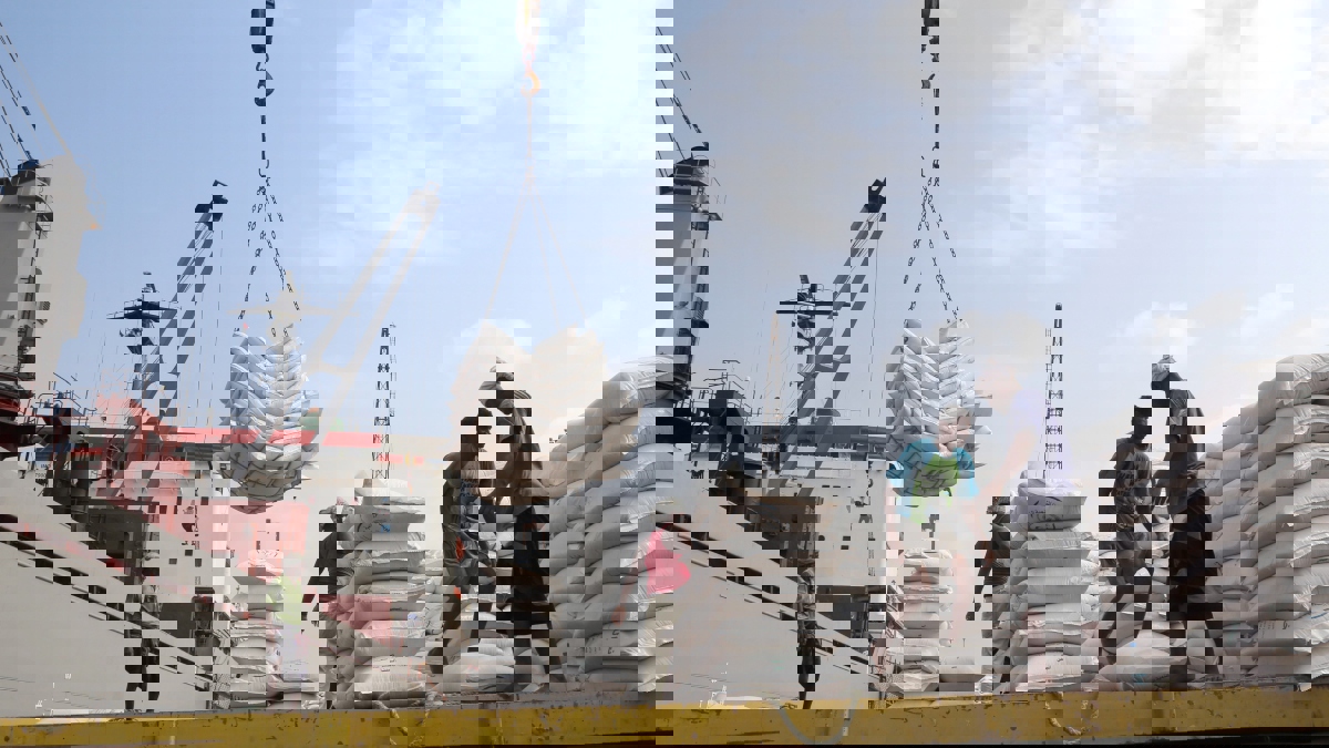 الأمم المتحدة تسعى لإنقاذ الحبوب من التعفن بعد دخول مخازن الحديدة اليمنية