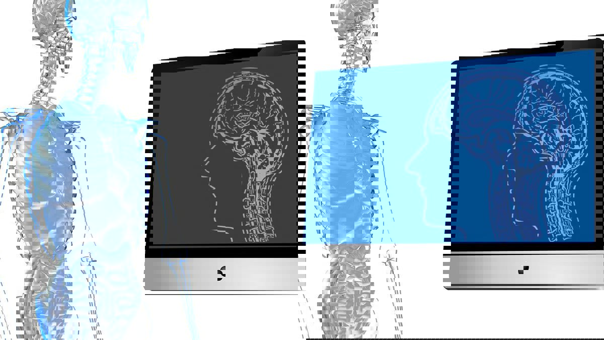 دراسة: المعدة قد تنقذ حياة مرضى الاضطرابات الحركية العصبية