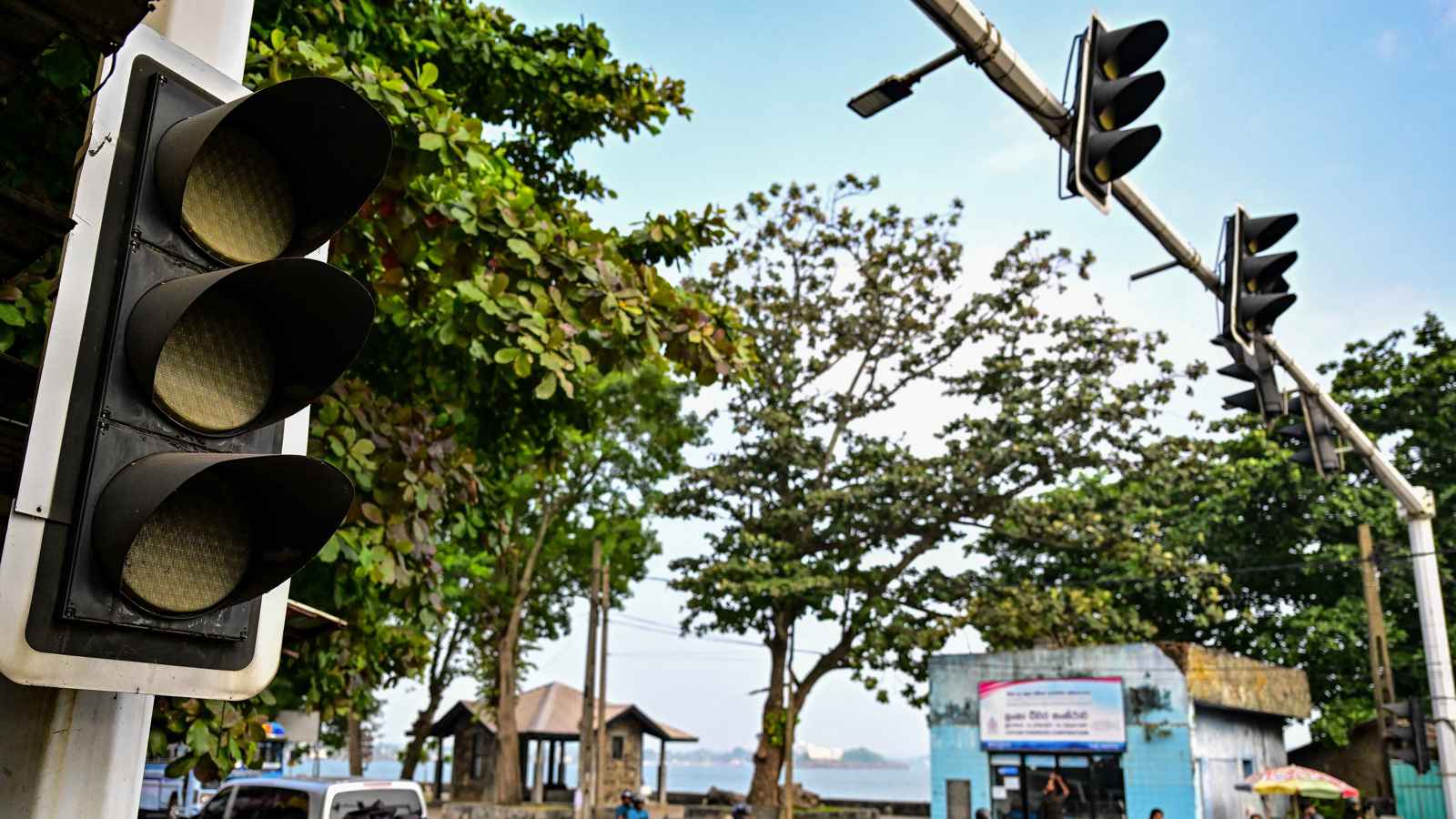 انقطاع التيار الكهربائي في أنحاء سريلانكا.. والسبب "قرد"