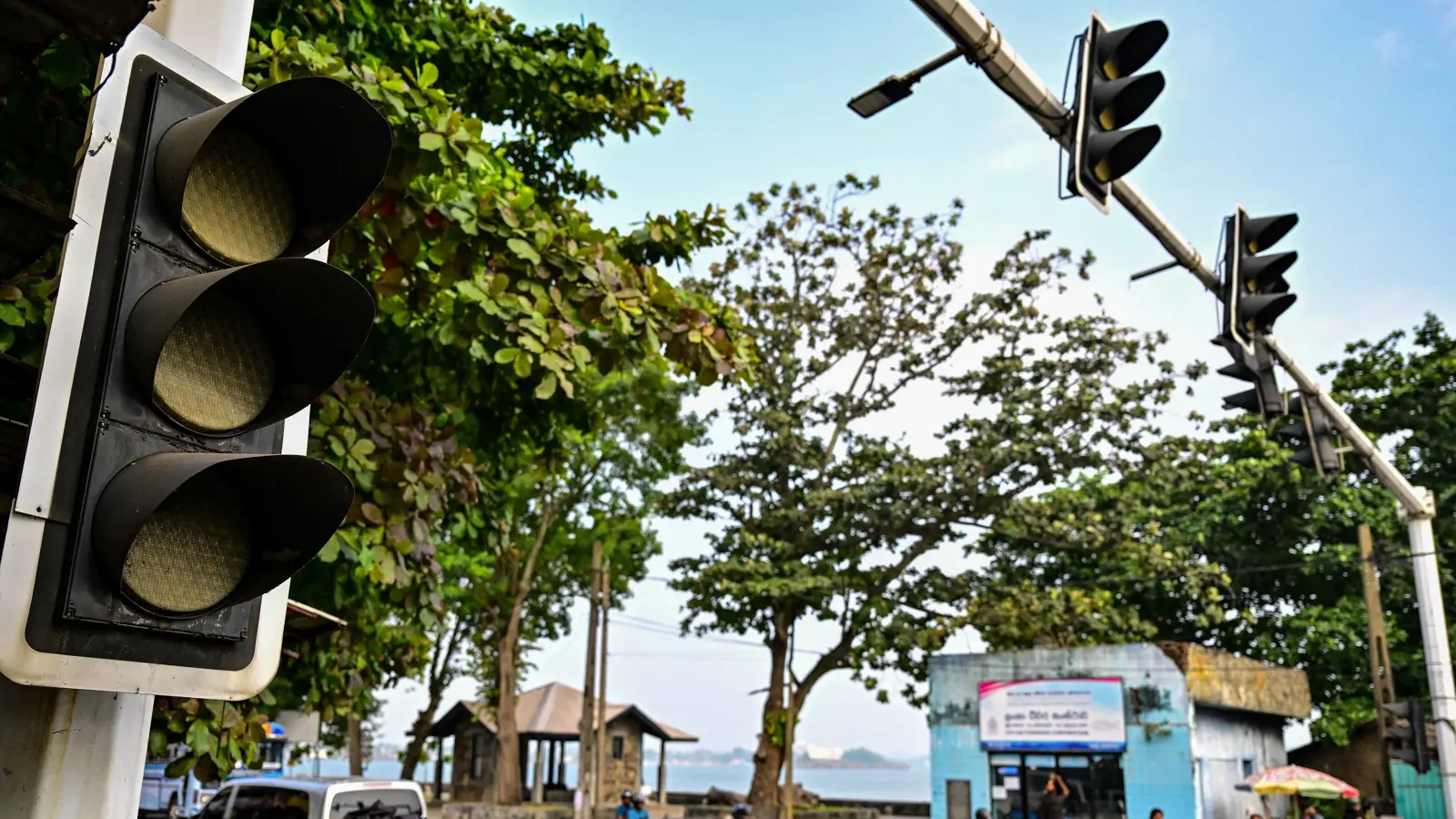 انقطاع التيار الكهربائي في أنحاء سريلانكا.. والسبب "قرد"