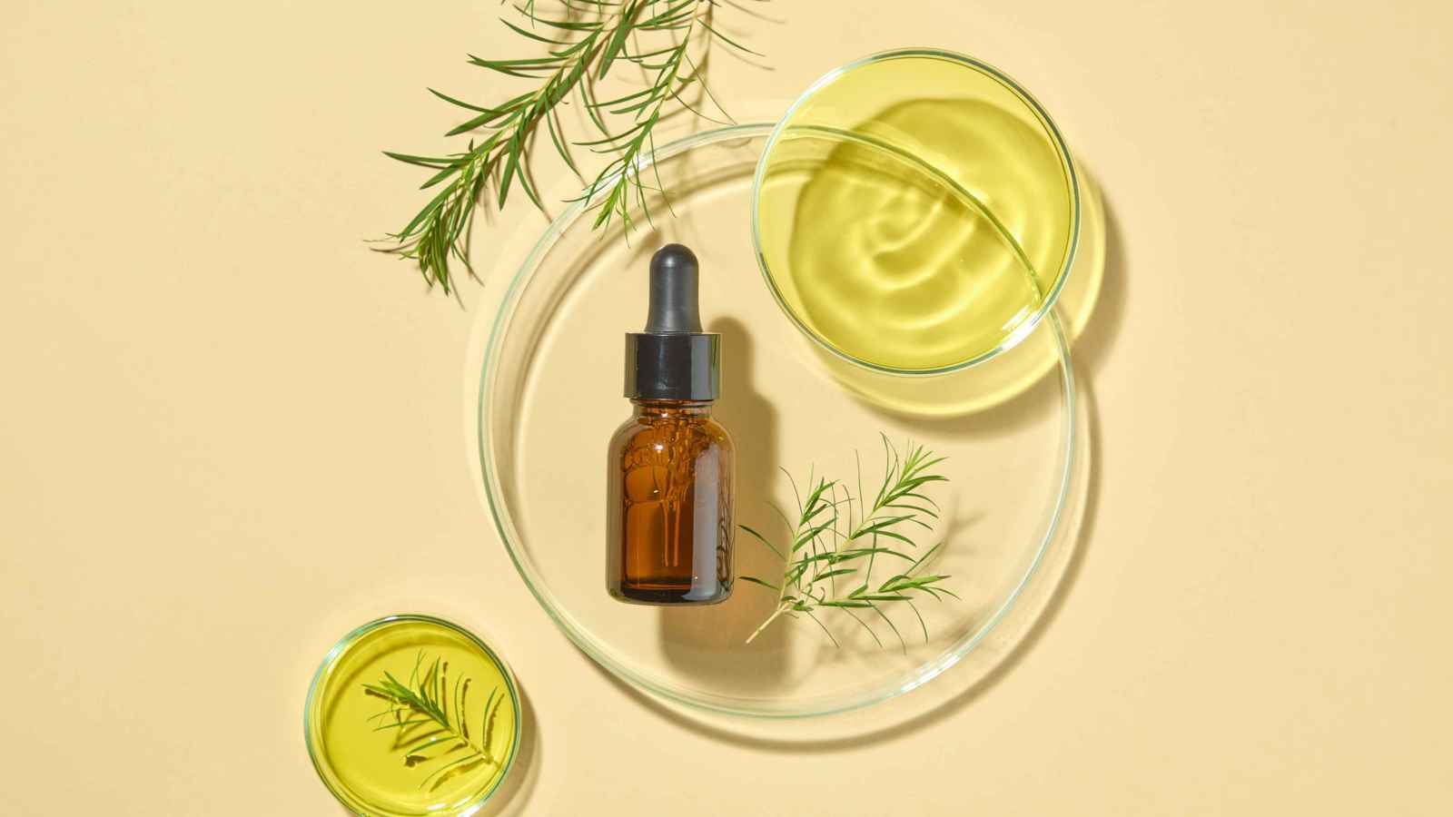 تسمم وغيبوبة.. تحذيرات من خطورة ابتلاع زيت شجرة الشاي