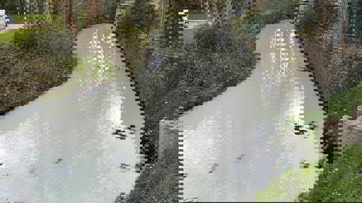 نهر في ويلز يتحول للون الأبيض بعد انقلاب شاحنة حليب فيه 