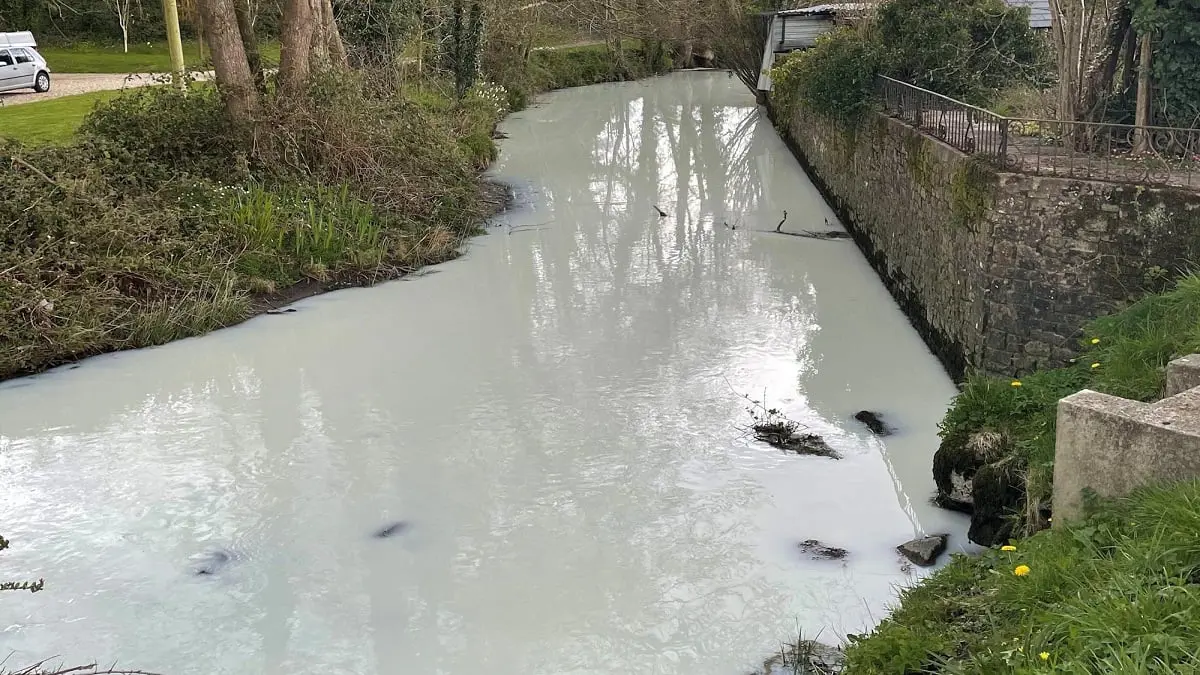 نهر في ويلز يتحول للون الأبيض بعد انقلاب شاحنة حليب فيه 