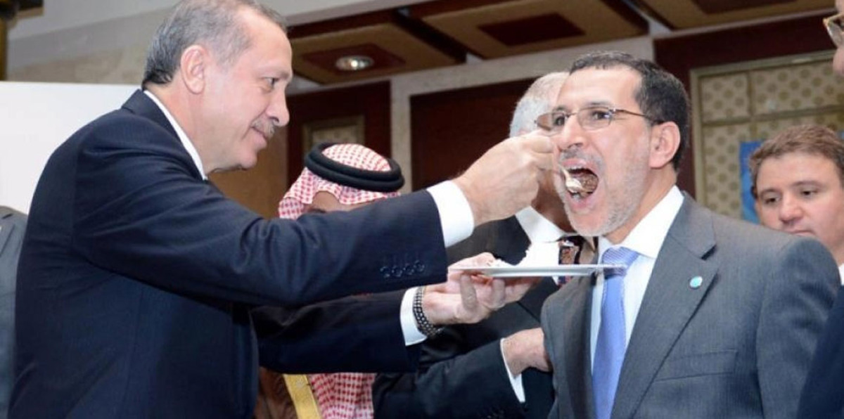 ولاء إخوان المغرب لتركيا.. دفاع مستميت ومصالح متبادلة