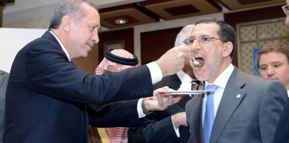 ولاء إخوان المغرب لتركيا.. دفاع مستميت ومصالح متبادلة