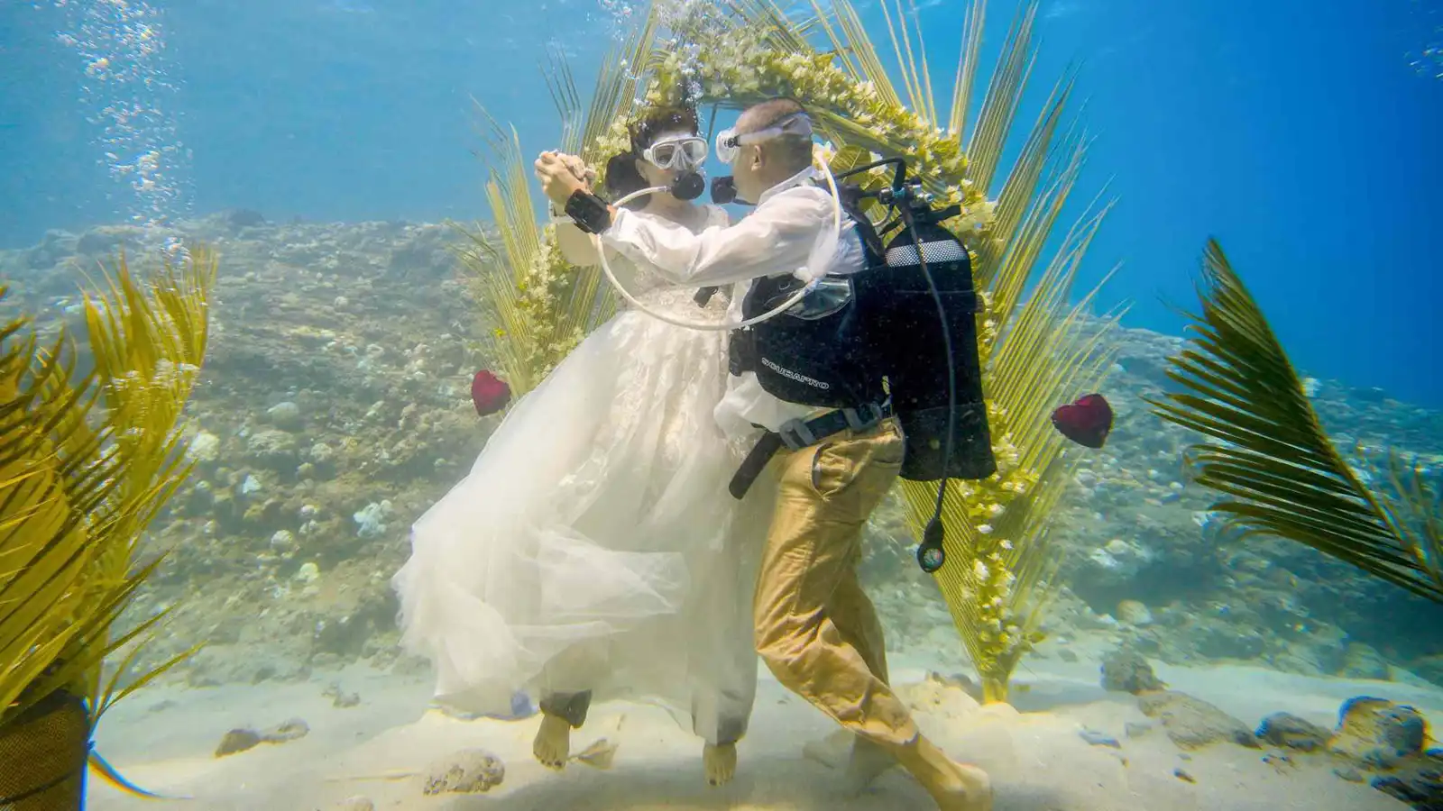 "ملاذهما السعيد".. زوجان يعقدان قرانهما وسط البحر في موريشيوس (صور)