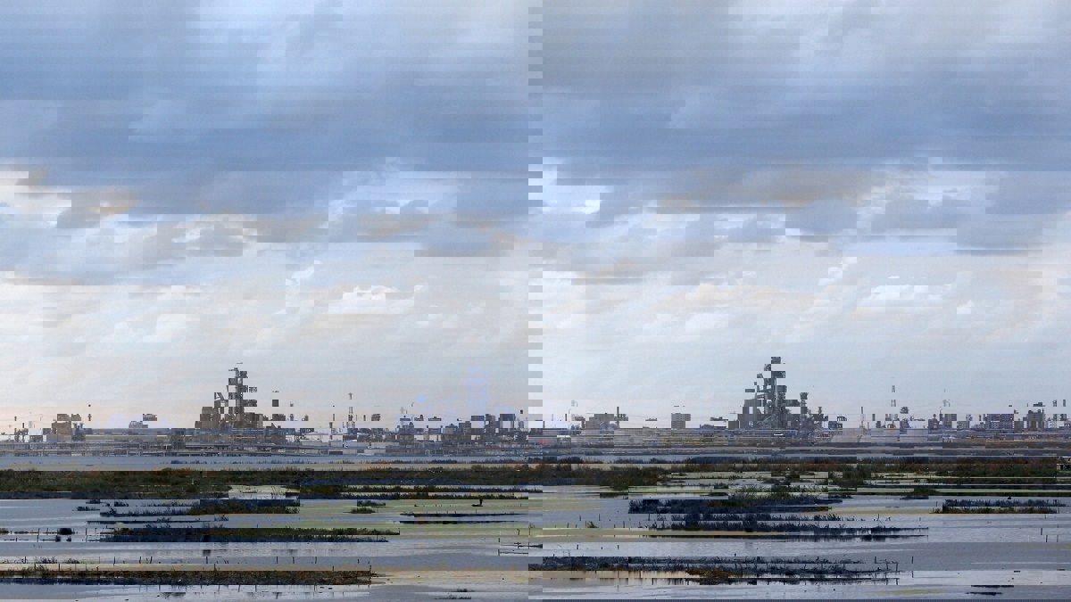 مشروع "مصري روسي" لتصنيع الزيوت النباتية بـ300 مليون دولار