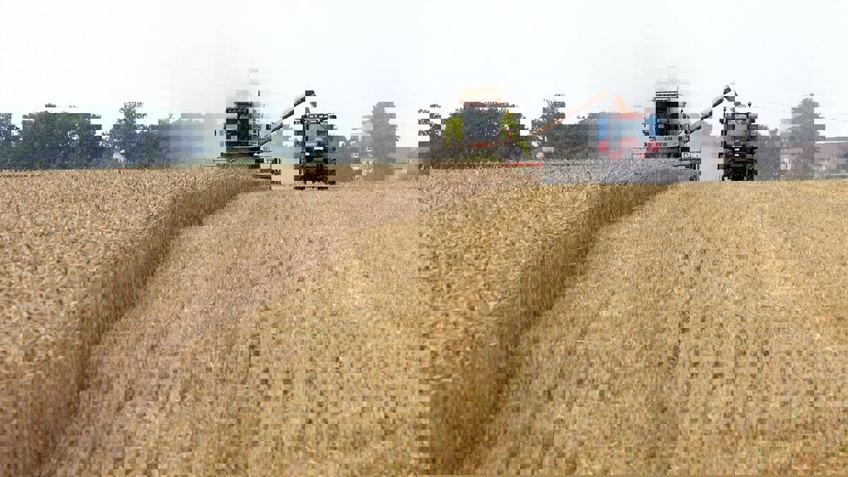 "واشنطن بوست": العالم يشهد أسوأ أزمة غذاء منذ الكساد العظيم‬