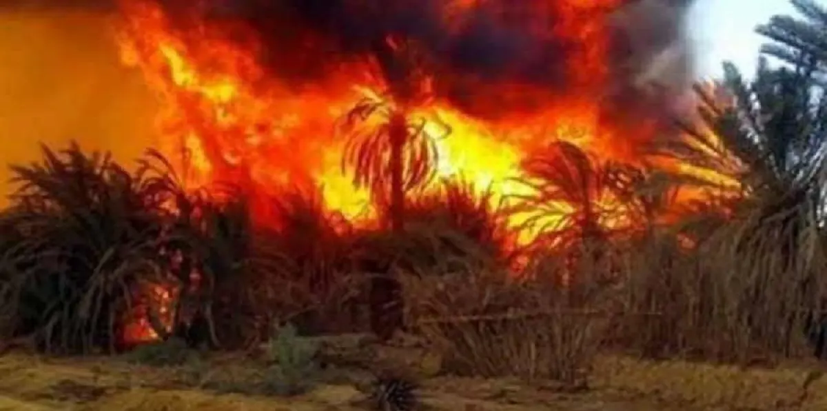 مصر تعوّض ضحايا حريق الوادي الجديد بمليوني جنيه