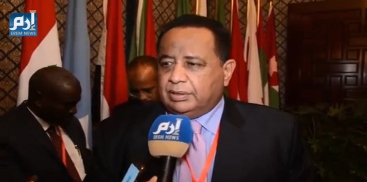 وزير الخارجية السوداني: التدخلات الخارجية تحول دون حل القضية الليبية (فيديو إرم)