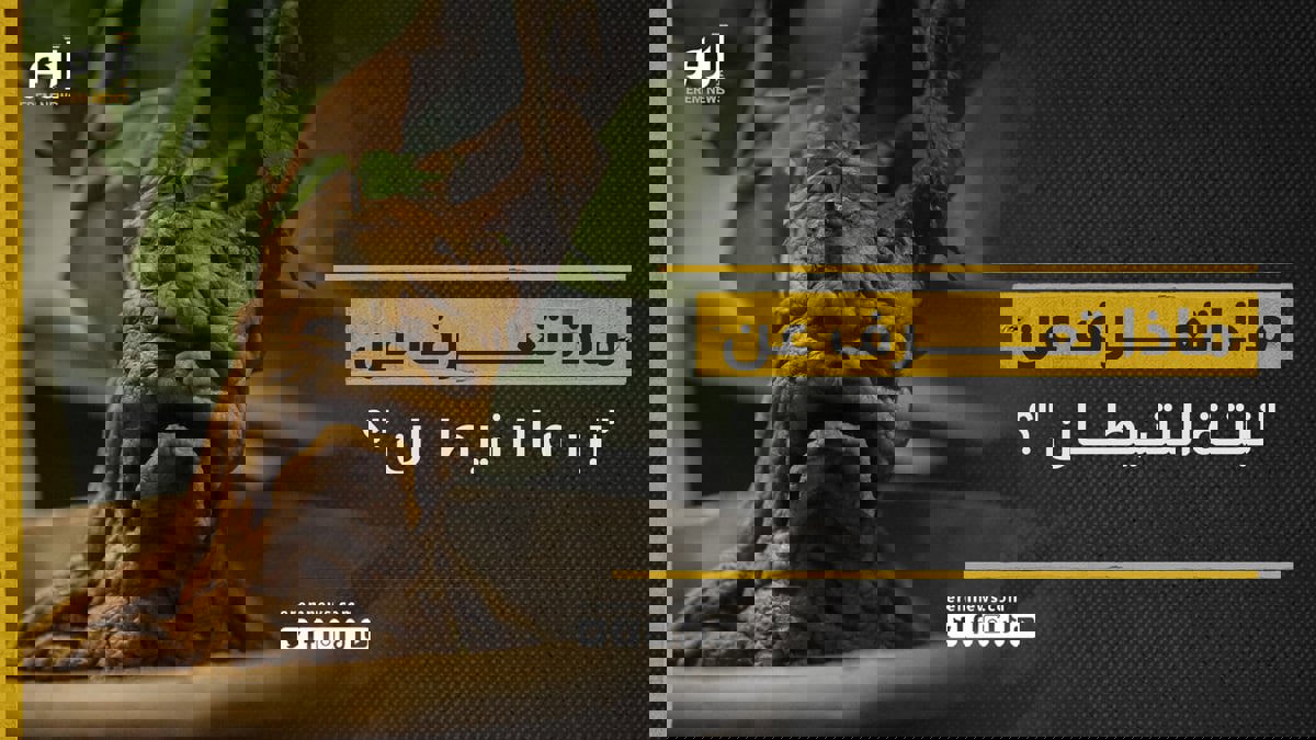 تسمع وتشبه جسم الإنسان.. ماذا تعرف عن "نبتة الشيطان"؟