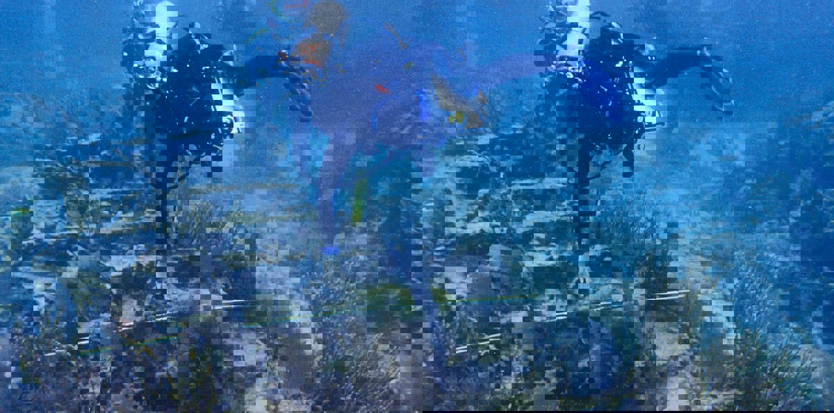 غرقت منذ 330 عامًا.. غواصون يكتشفون بقايا أثمن سفينة بريطانية (صور)