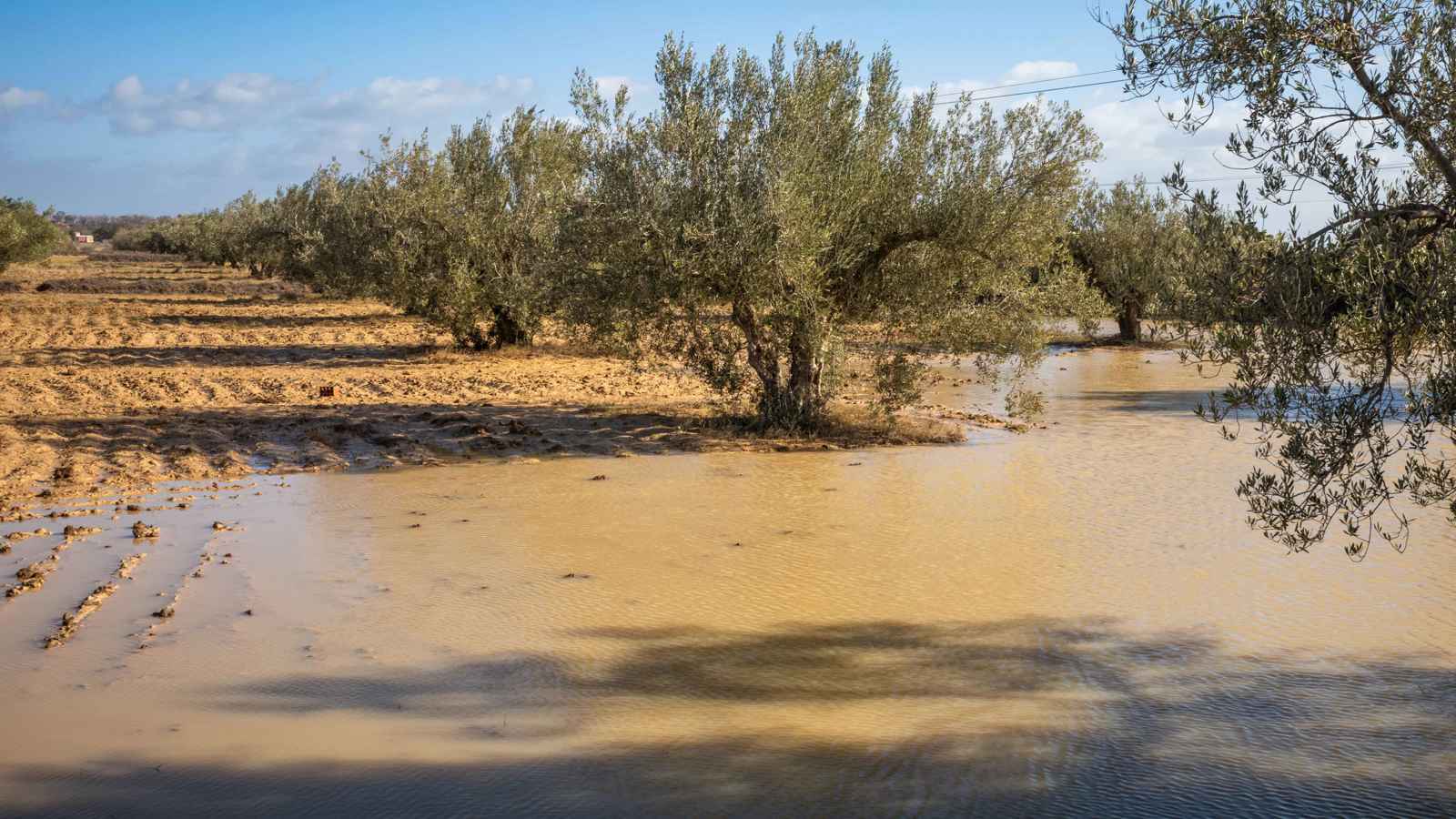 فيضانات عارمة وسيول جارفة جراء الأمطار في تونس (فيديو)