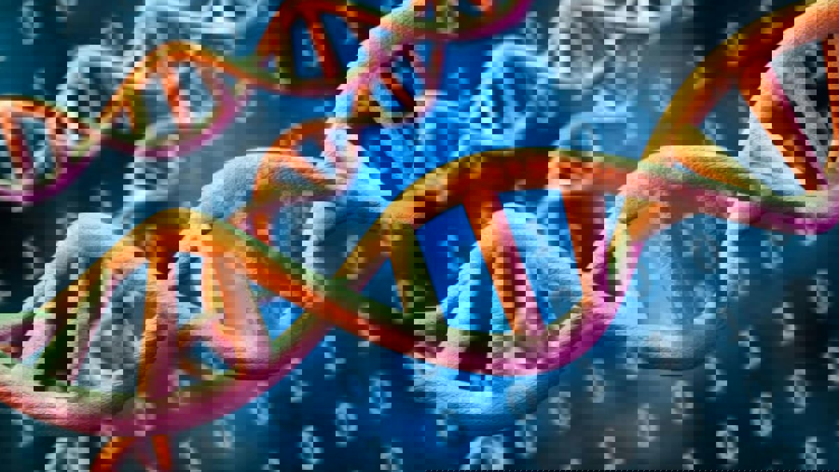 اكتشاف جديد يلقي الضوء على آلية الوراثة اللاجينية